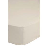 Jersey Spannbetttuch Spannbetttuch-Jersey 180x220cm - ecru (180,00/220,00cm) - Good Morning