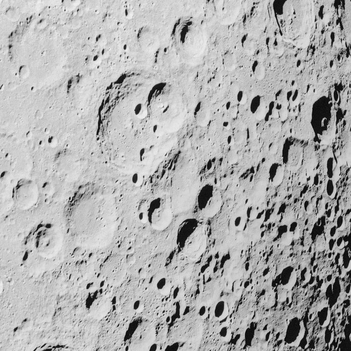 Komar Fototapete Luna D: ca. 125 cm Luna - (125,00cm) - Komar