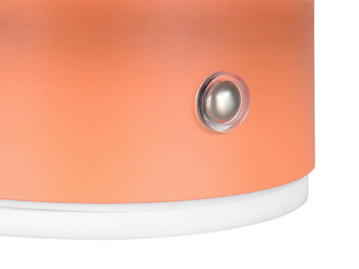 Reality LED Wandleuchte DAVEY apricot Metall 1 Brennstellen Davey - apricot - Reality