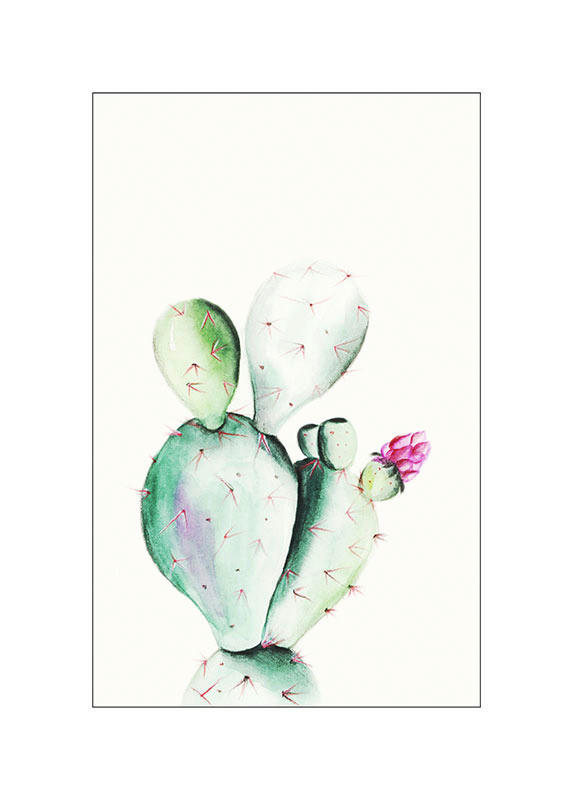 Komar Poster Prickly Pear Watercolor Pflanzen B/L: ca. 50x70 cm günstig online kaufen