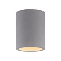 Paul Neuhaus Deckenleuchte ETON 6160-22 grau Eisen Beton B/H/D: ca. 11x14x11 cm GU10 1 Brennstellen ETON - grau (11,00/14,00cm) - Paul Neuhaus