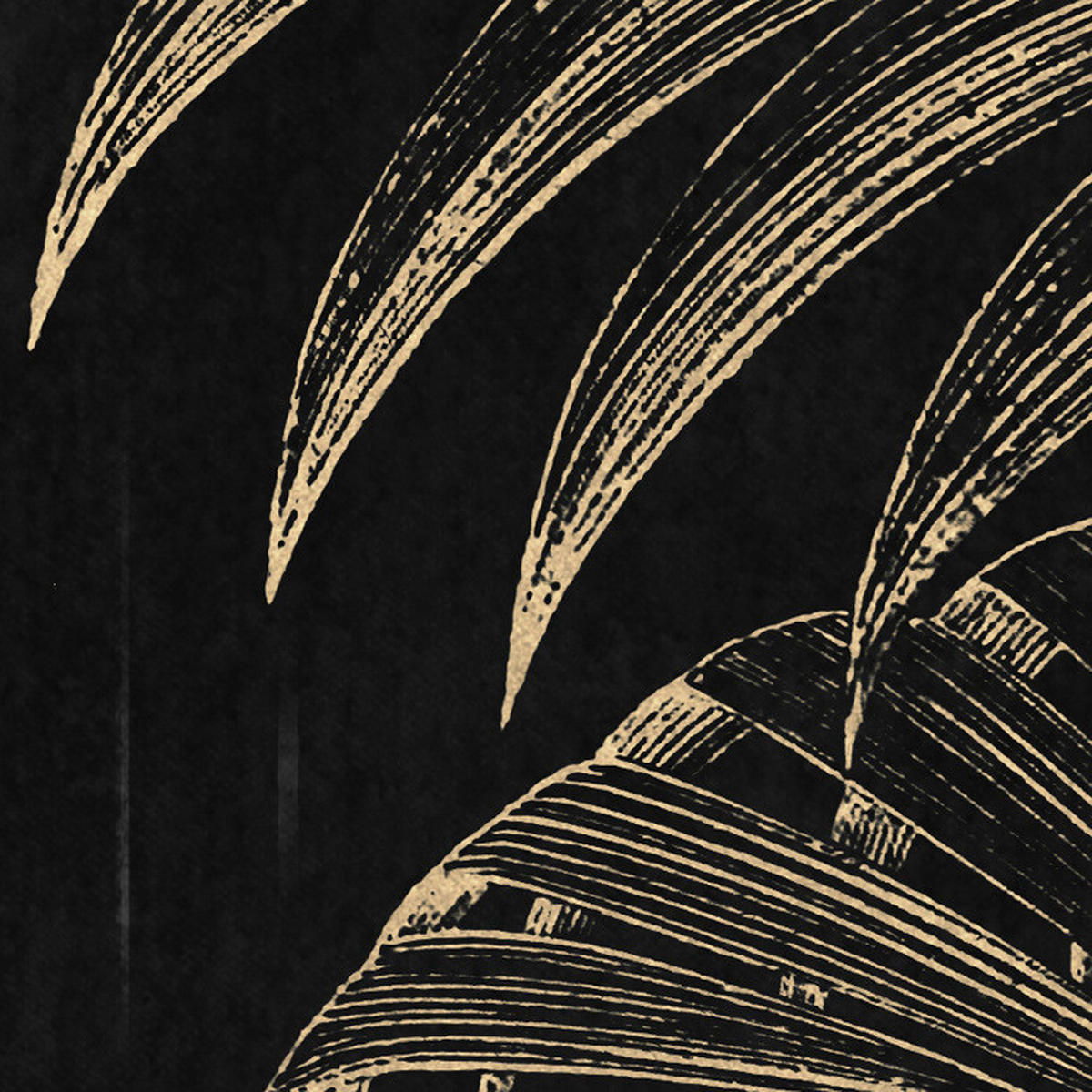 Komar Fototapete En Detail B/L: ca. 200x250 cm En Detail - (200,00/250,00cm) - Komar