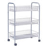 Zeller Rollwagen silber Mesh B/H/L: ca. 26x63x44 cm Rollwagen - silber (44,00/26,00/63,00cm) - Zeller