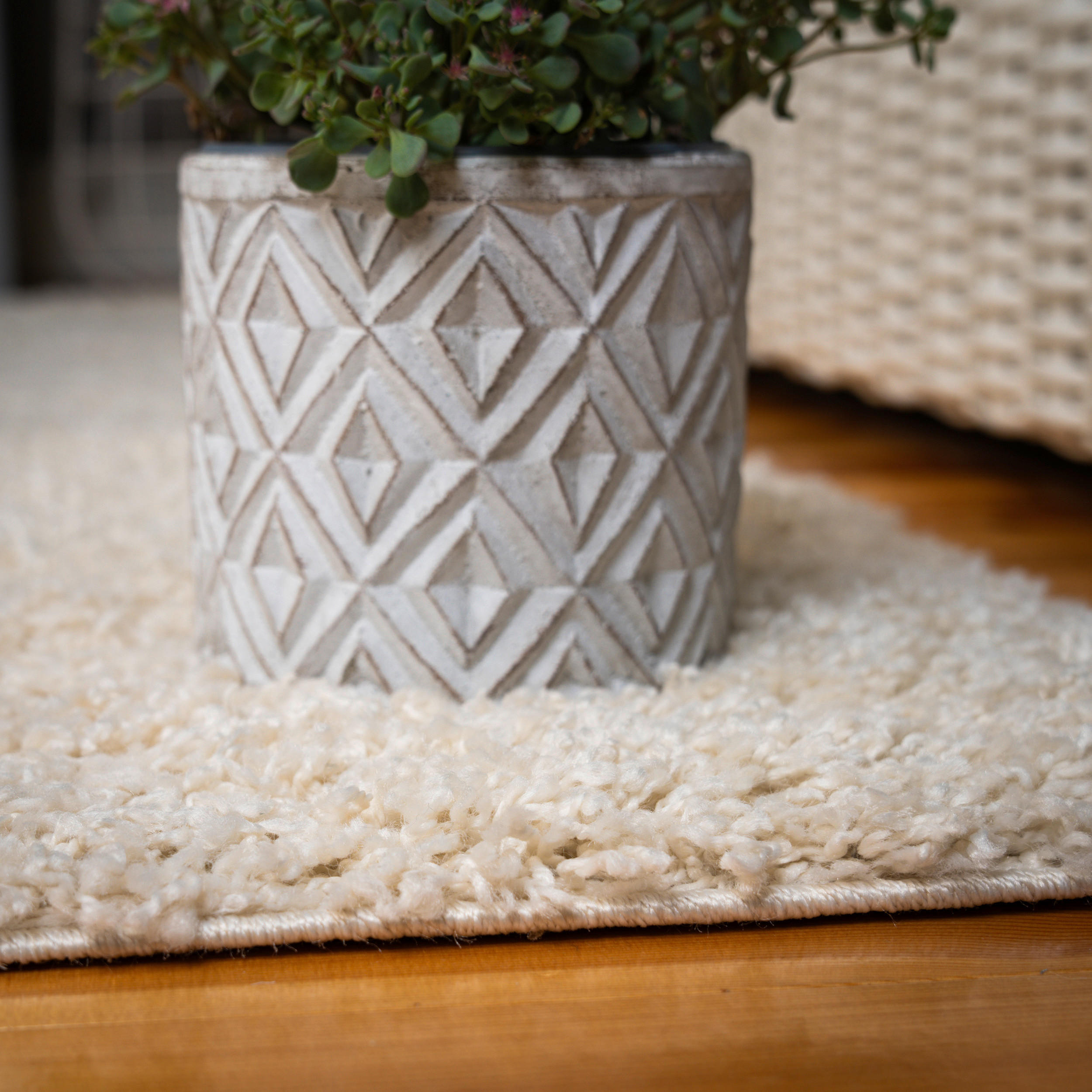 Obsession Teppich My Tropica creme B/H/T/L/D: ca. 160x4x0x230x0 cm My Tropica - creme (230,00/160,00/4,00cm) - Obsession