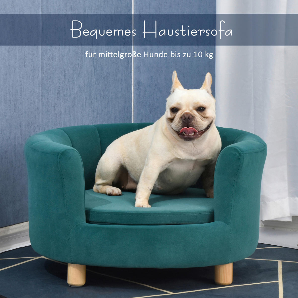 PawHut Hundesofa grün Schaumstoff B/H/L: ca. 65x37x64 cm Hundesofa - grün (64,00/65,00/37,00cm) - PawHut