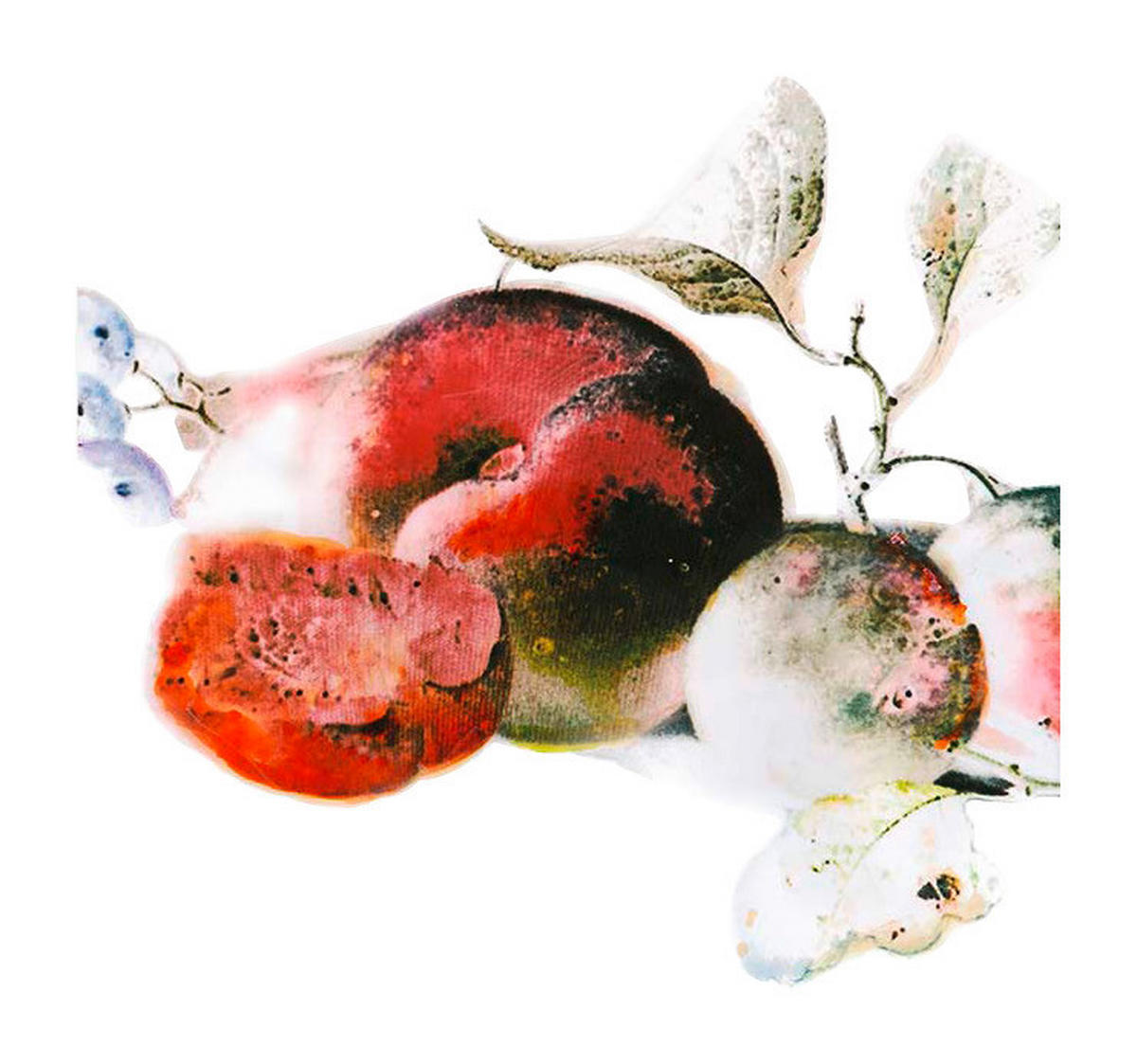 Komar Poster Dessert Fruité Pflanzen B/L: ca. 40x50 cm Dessert Fruité - (40,00/50,00cm) - Komar