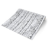 Papiertapete Birkenwald weiß schwarz B/L: ca. 53x1005 cm Papiertapete_38854-1 - weiß/schwarz (53,00/1005,00cm)