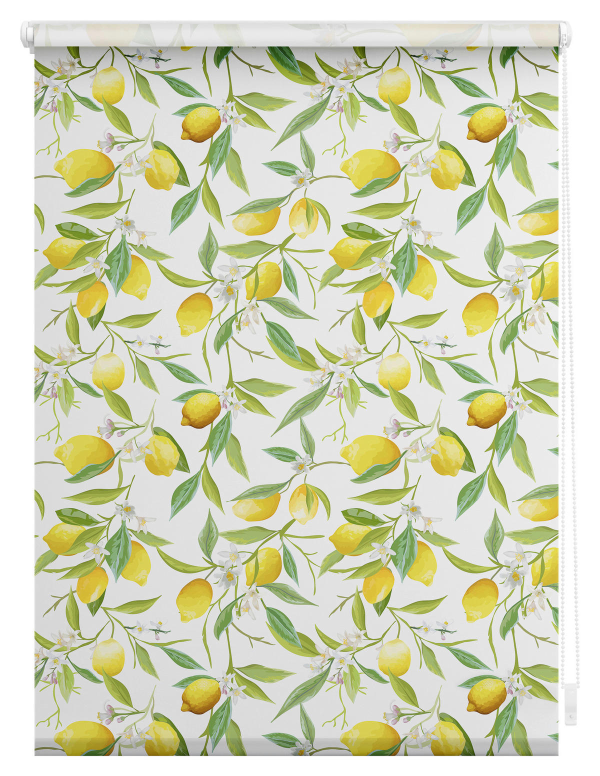 Verdunkelungsrollo Limone gelb B/L: ca. 90x150 cm Limone - gelb/grün (90,00/150,00cm) - LICHTBLICK