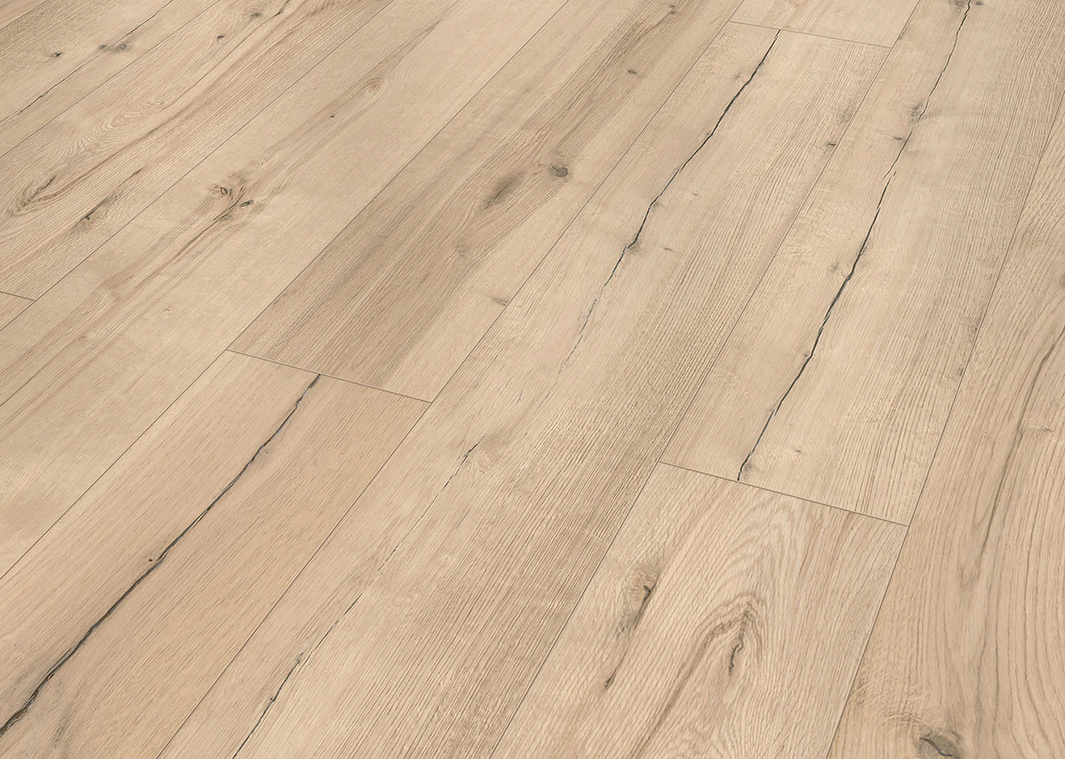 Musterstück grau B/L/S: ca. 19,2x30x0,8 cm Muster Laminat Trendy Oak - grau (19,20/30,00cm)