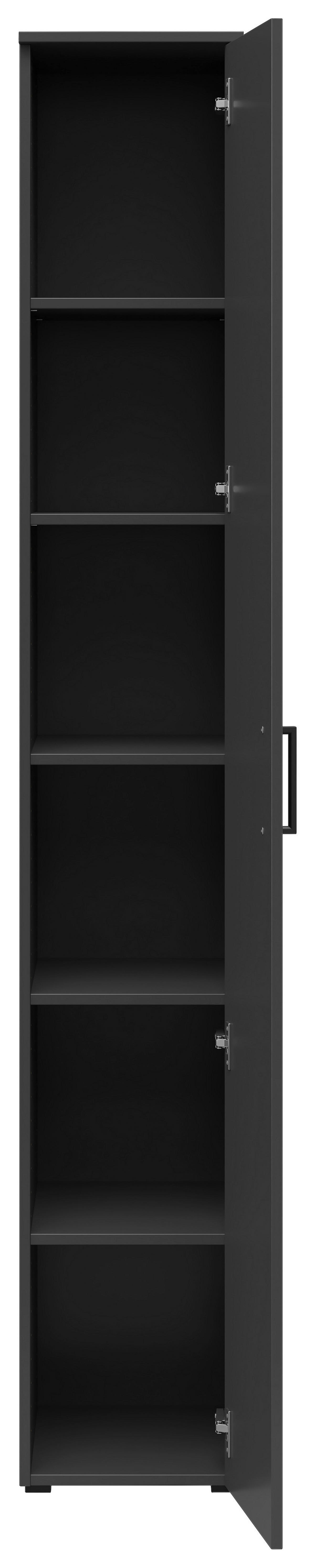 Schrank Multi-Stauraum Typ 8 anthrazit B/H/T: ca. 30x195x40 cm Multi-Stauraum Typ 8 - anthrazit (30,00/195,00/40,00cm)