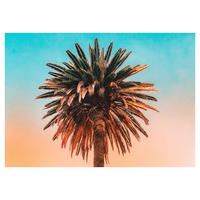 Komar Poster Palm Tree Palmen B/L: ca. 70x50 cm Palm Tree - (70,00/50,00cm) - Komar