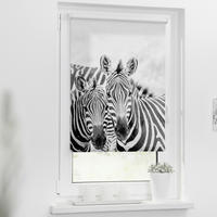 Rollo Zebra Zebra - LICHTBLICK