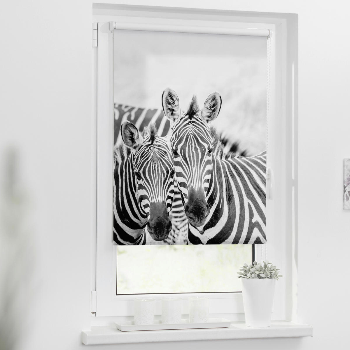 Rollo Zebra schwarz B/L: ca. 120x150 cm ▷ online bei POCO kaufen