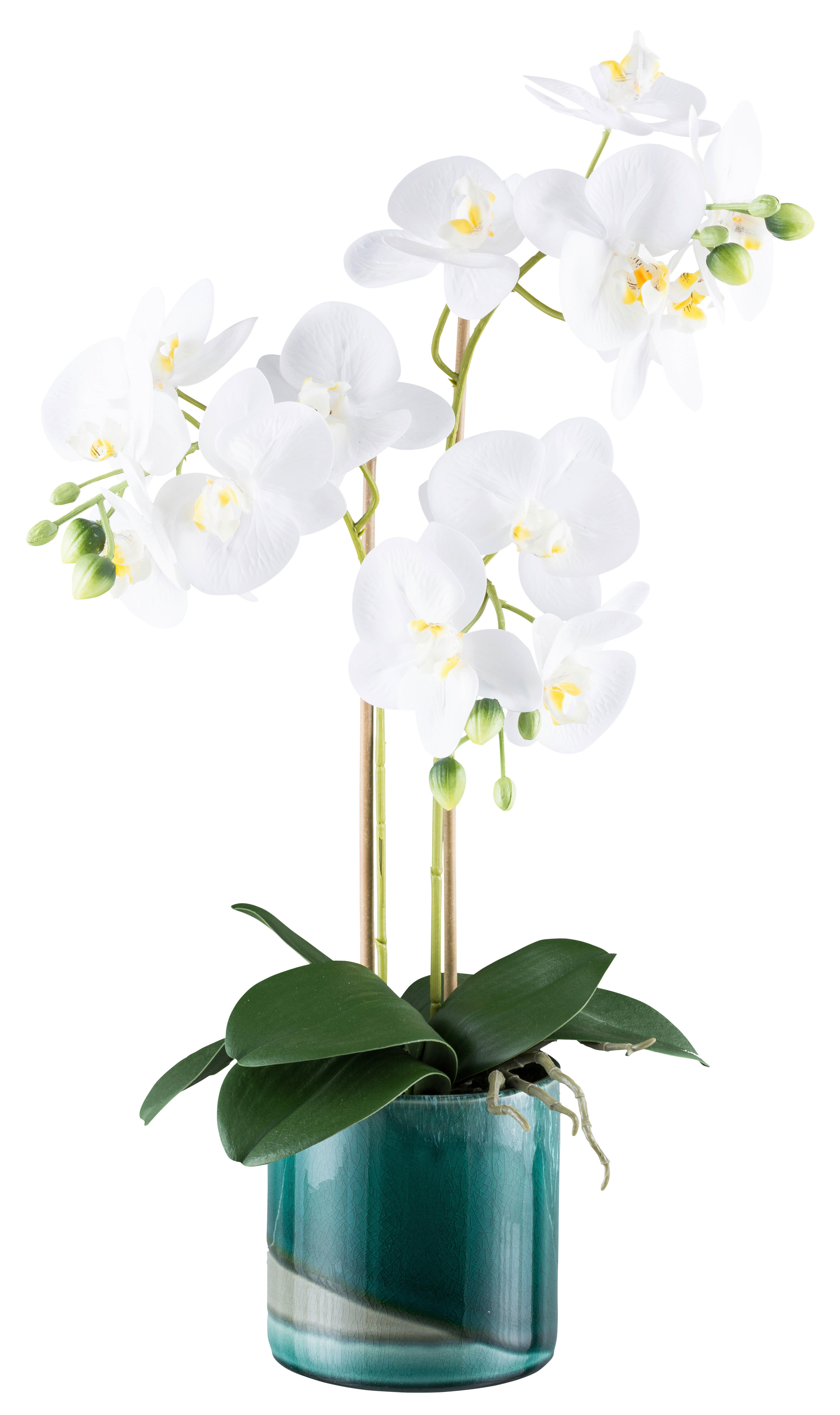 Kunstpflanze Phalaenopsis weiß Kunststoff B/H/L: ca. 17x55x17 cm günstig online kaufen