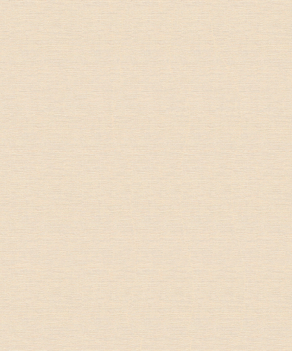 A.S.Creation Vliestapete Björn Uni creme B/L: ca. 53x1005 cm Björn - creme (53,00/1005,00cm) - A.S.Creation