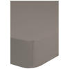 Baumwoll Spannbetttuch Satin Spannbetttuch-Satin 160x200cm - ecru (160,00/200,00cm) - HIP