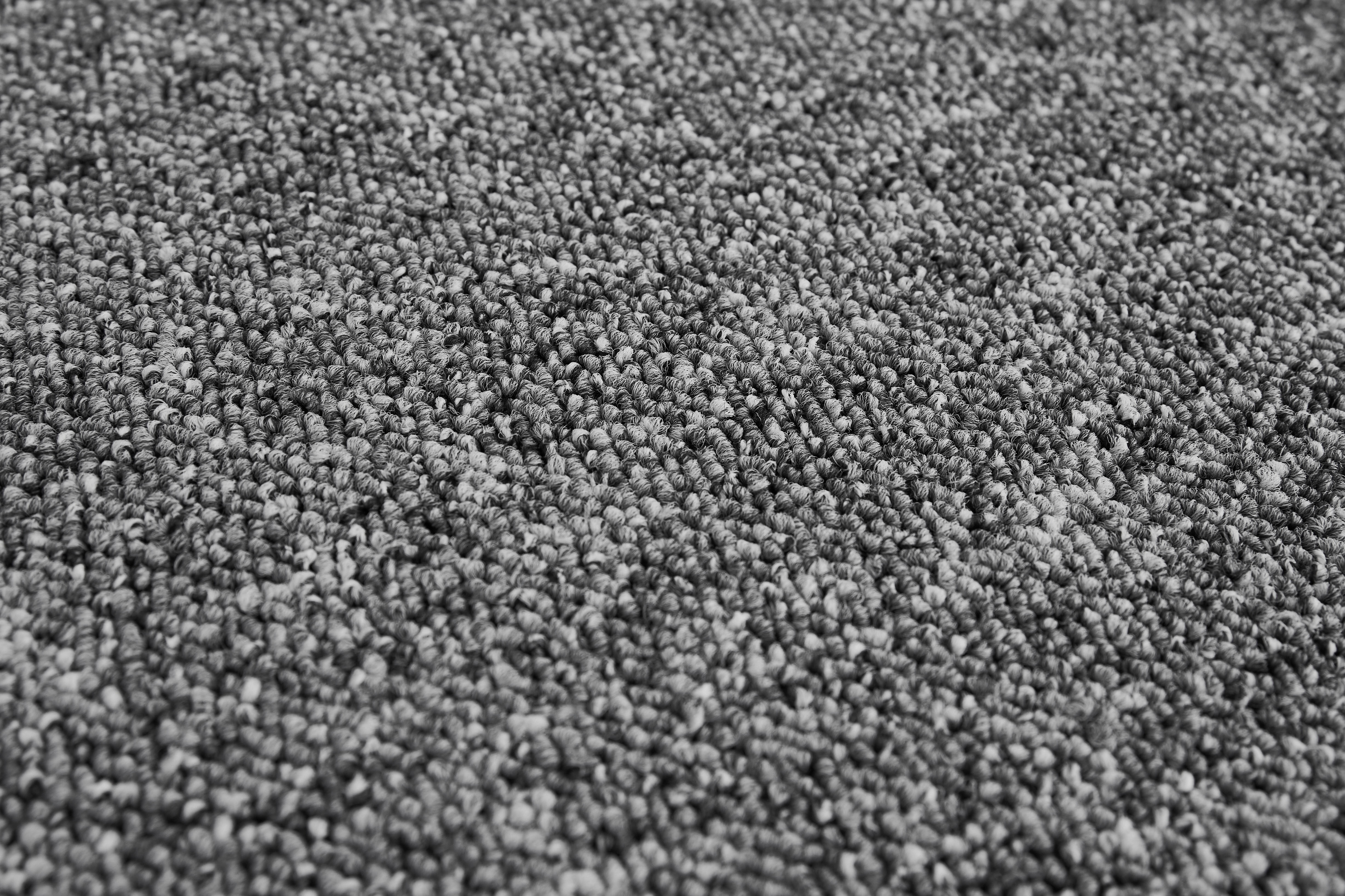 Teppichboden Rico grau B/L: ca. 200x500 cm pro Stück Rico - grau (200,00/500,00cm)