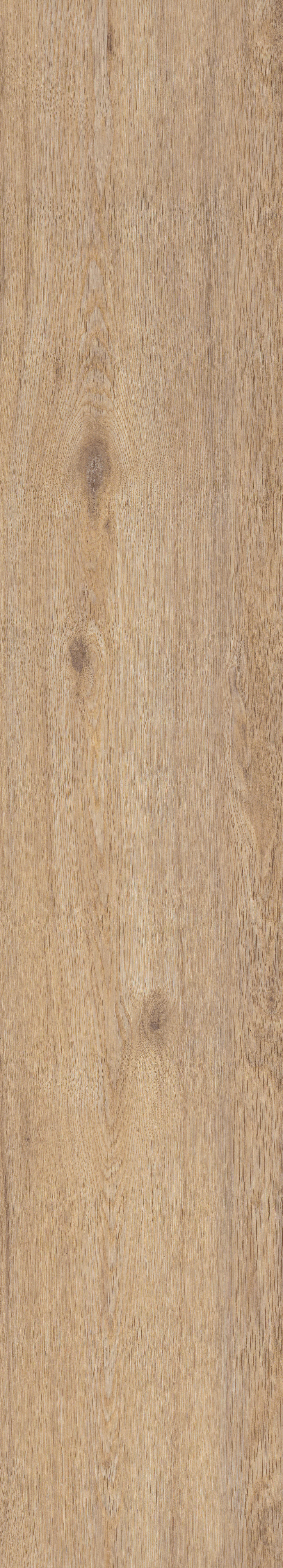 Click-Vinylboden Beitd. Eiche hell ca.3,34m² im Pak.  B/L: ca. 24,2x124 cm pro Paket Beitd. Eiche hell ca.3,34m² im Pak. - (24,20/124,00cm)
