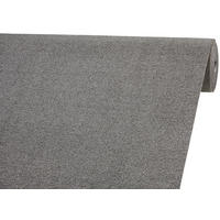 Teppichboden Focus grau B: ca. 400 cm pro m² Focus - grau (400,00cm)