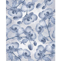 Komar Fototapete Orchidée B/L: ca. 200x250 cm Orchidée - (200,00/250,00cm) - Komar