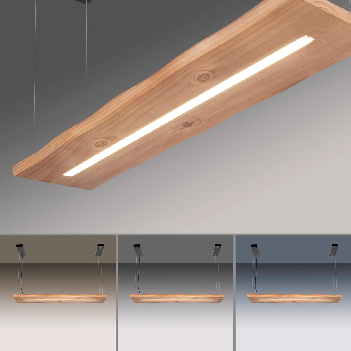 Paul Neuhaus LED-Pendelleuchte PALMA 2625-79 PALMA - natur/schwarz (120,00/120,00/30,00cm) - Paul Neuhaus