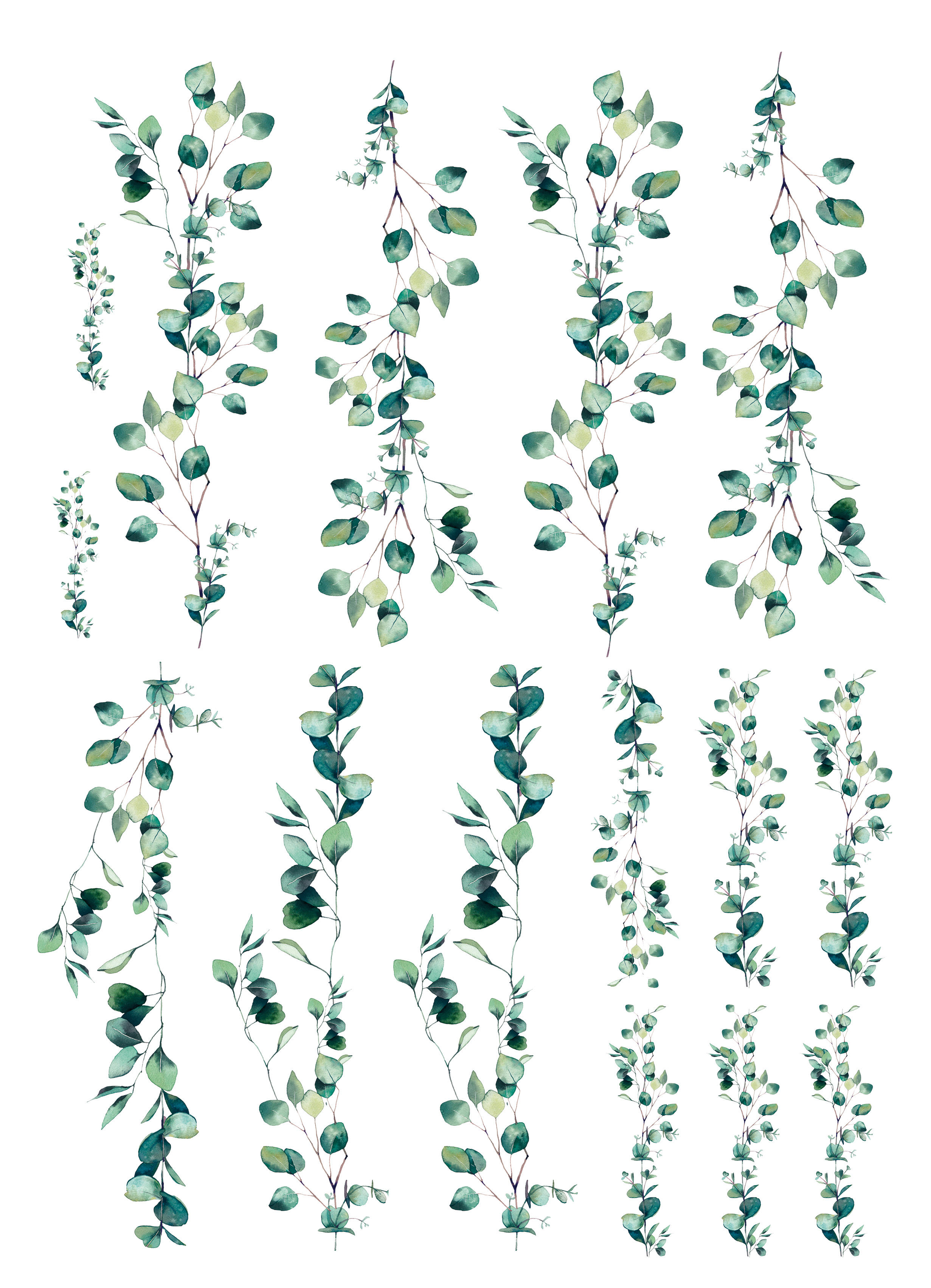 Dekosticker Blätter grün B/L: ca. 25x35 cm 2 tlg. Dekosticker Eukalyptus - grün (25,00/35,00cm)