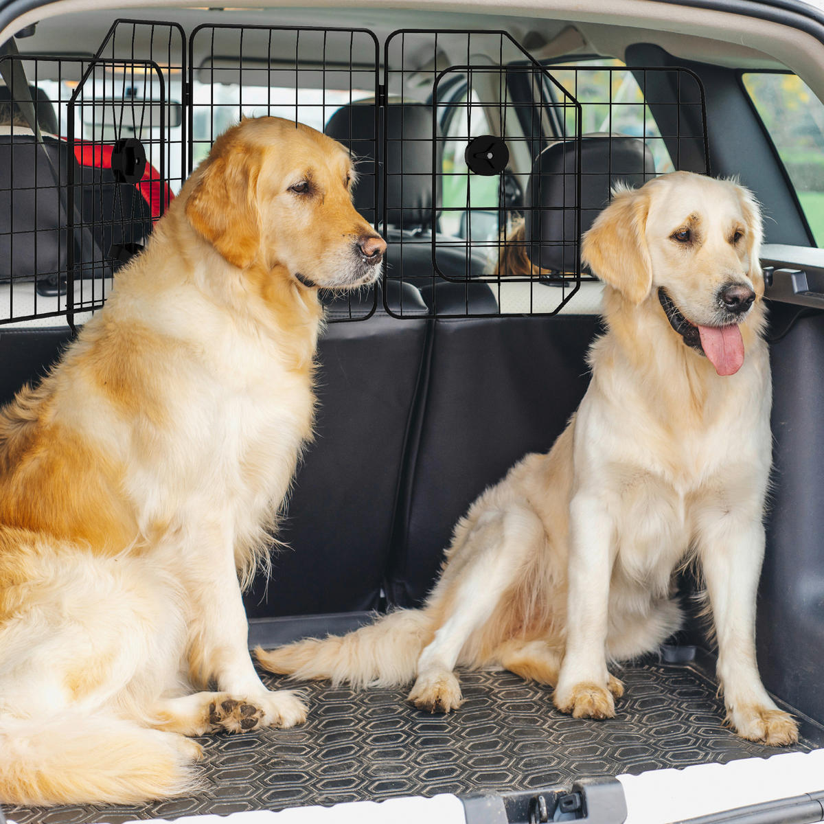 PawHut Hunde-Absperrgitter schwarz Stahl B/H/L: ca. 5x42x150 cm Hunde-Absperrgitter - schwarz (150,00/5,00/42,00cm) - PawHut