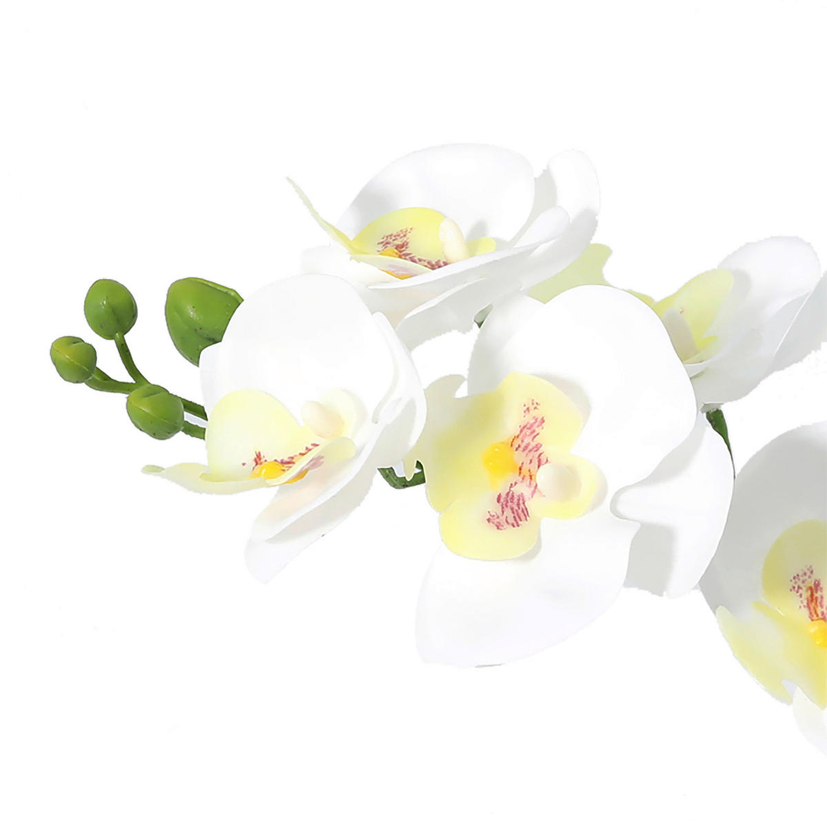 Orchidee weiß Kunststoff B/H/L: ca. 8x30x24 cm Orchidee - weiß (24,00/8,00/30,00cm)