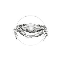 Komar Poster Crab White Tiere B/L: ca. 50x70 cm Crab White - (50,00/70,00cm) - Komar