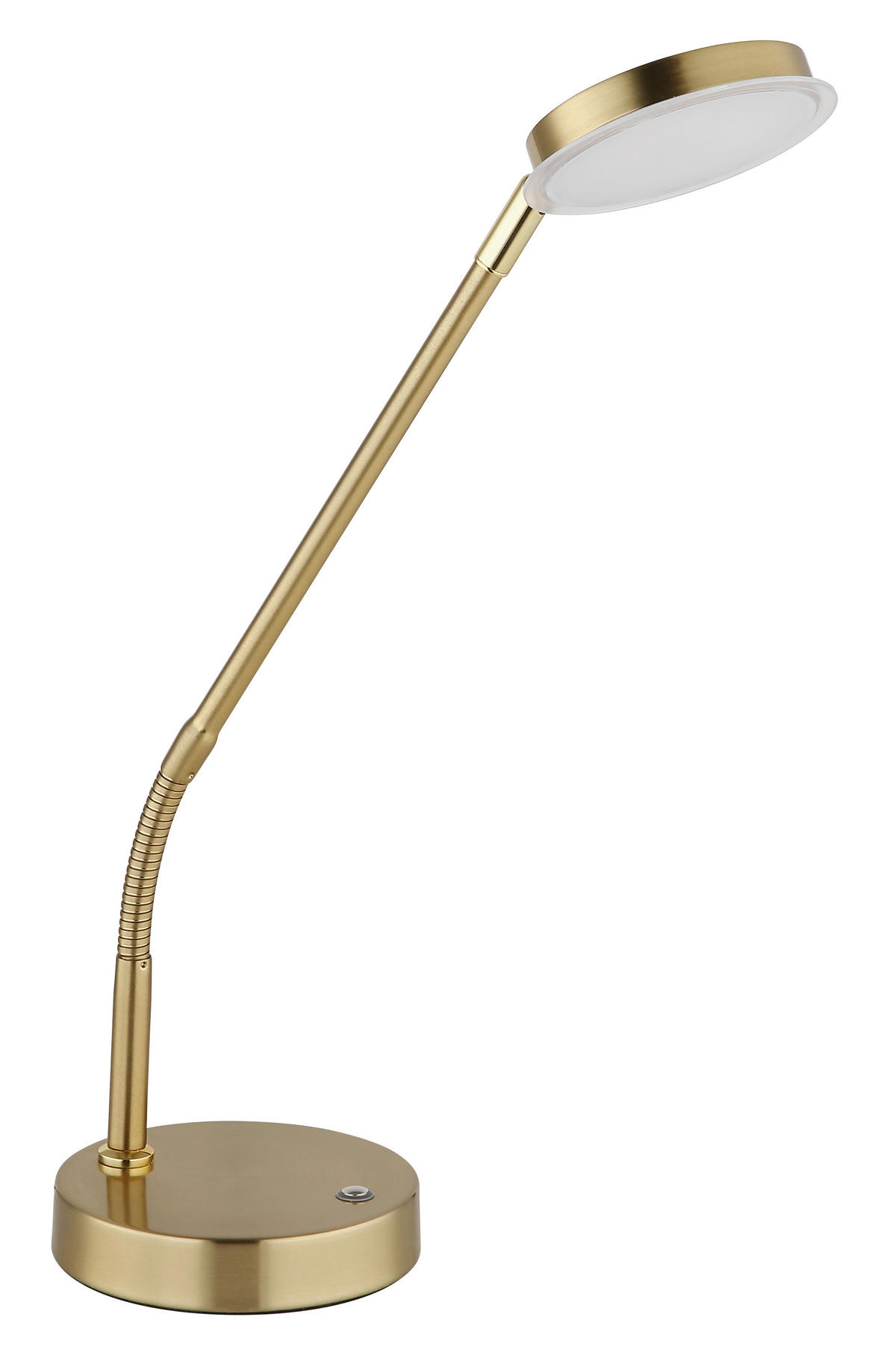 GLOBO Tischleuchte messing Metall B/H/L: ca. 13x53,5x43 cm 1 Brennstellen SILVIO - messing (43,00/13,00/53,50cm) - GLOBO