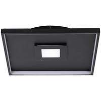 POCOline Deckenleuchte schwarz Metall B/L: ca. 40x40 cm LED-Deckenleuchte_Cataleya - schwarz (40,00/40,00cm) - POCOline