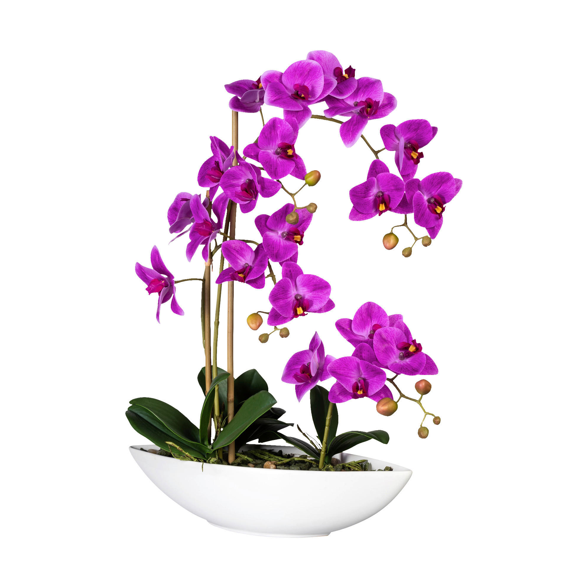 Kunstpflanze Phalaenopsis lila Kunststoff B/H/L: ca. 40,5x52x14,5 cm Phalaenopsis - lila (14,50/40,50/52,00cm)