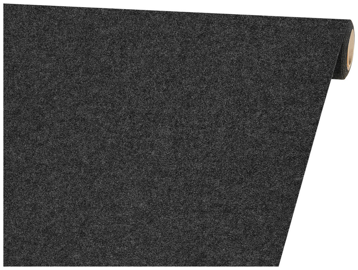 Nadelfilz Sprinter anthrazit B: ca. 400 cm Sprinter - anthrazit (400,00cm)