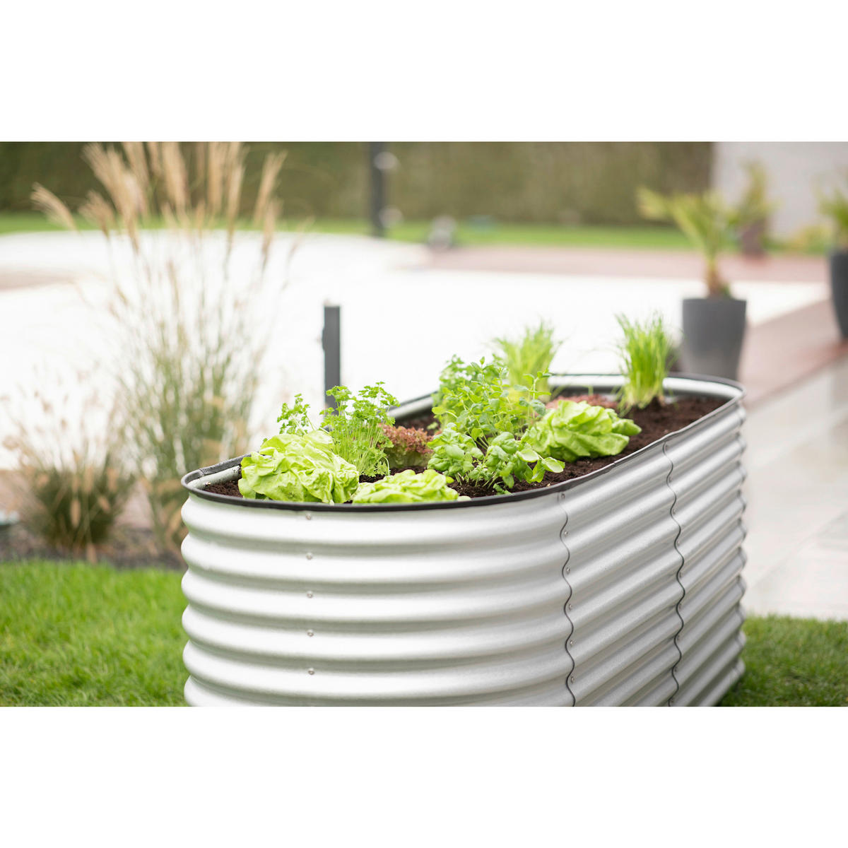 Westmann Hochbeet Oval silber Metall B/H/L: ca. 80x82x240 cm Oval - silber (240,00/80,00/82,00cm) - Westmann