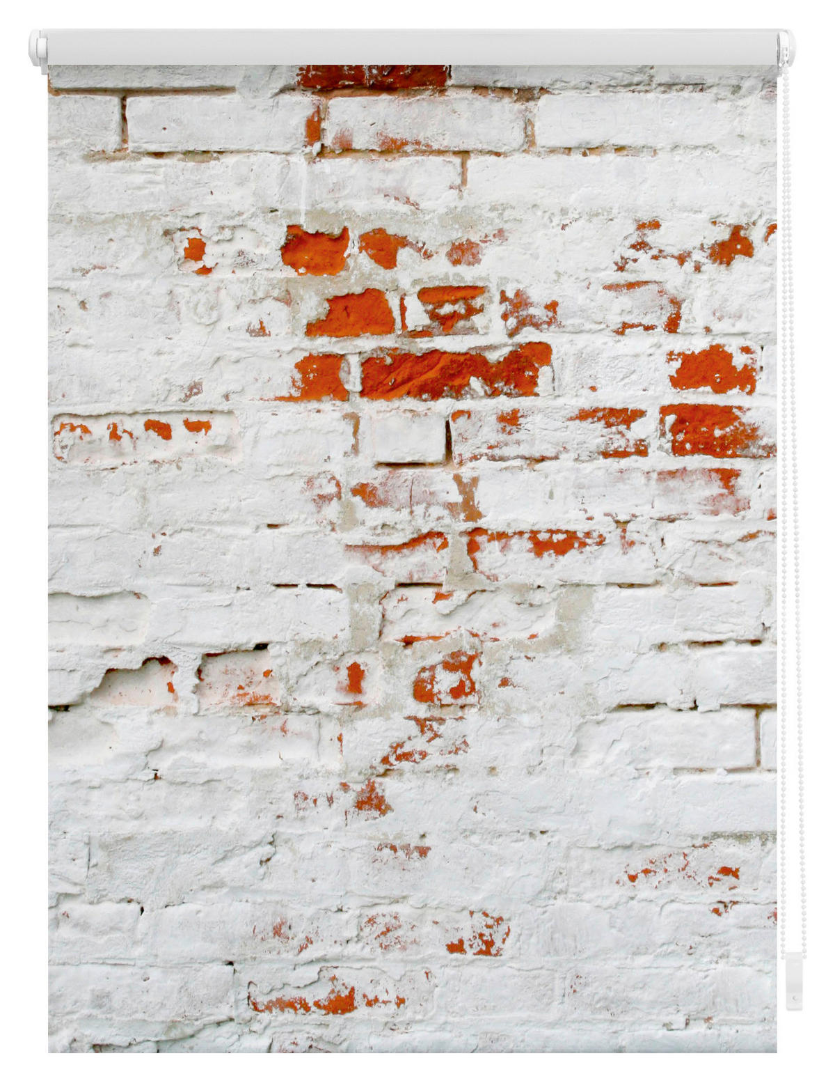 Verdunkelungsrollo Mauer weiß B/L: ca. 80x150 cm Mauer - weiß/rot (80,00/150,00cm) - LICHTBLICK