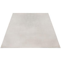 Dinarsu Teppich Maximo beige B/L: ca. 160x230 cm Maximo - beige (160,00/230,00cm) - Dinarsu