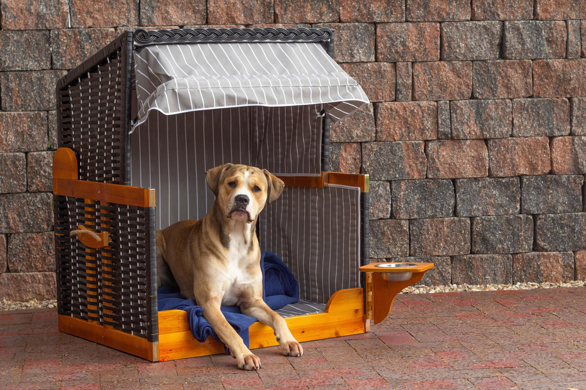 Hundestrandkorb braun Holz B/H/T: ca. 75x95x65 cm ▷ online bei POCO kaufen