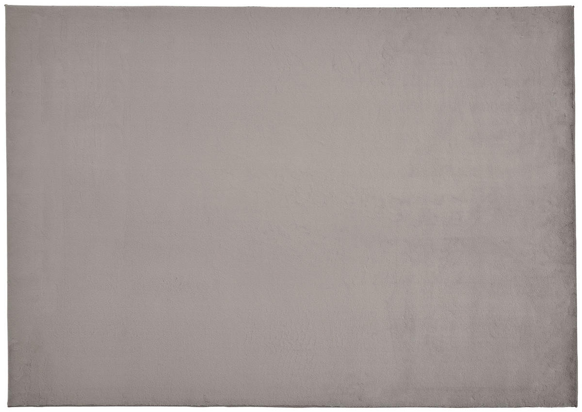 Teppich Pisa taupe B/L: ca. 160x220 cm Pisa - taupe (160,00/220,00cm)