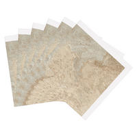 d-c-fix Wandfliese beige B/L: ca. 30,5x30,5 cm Wandfliese_selbstklebend_6Stck - beige (30,50/30,50cm) - d-c-fix