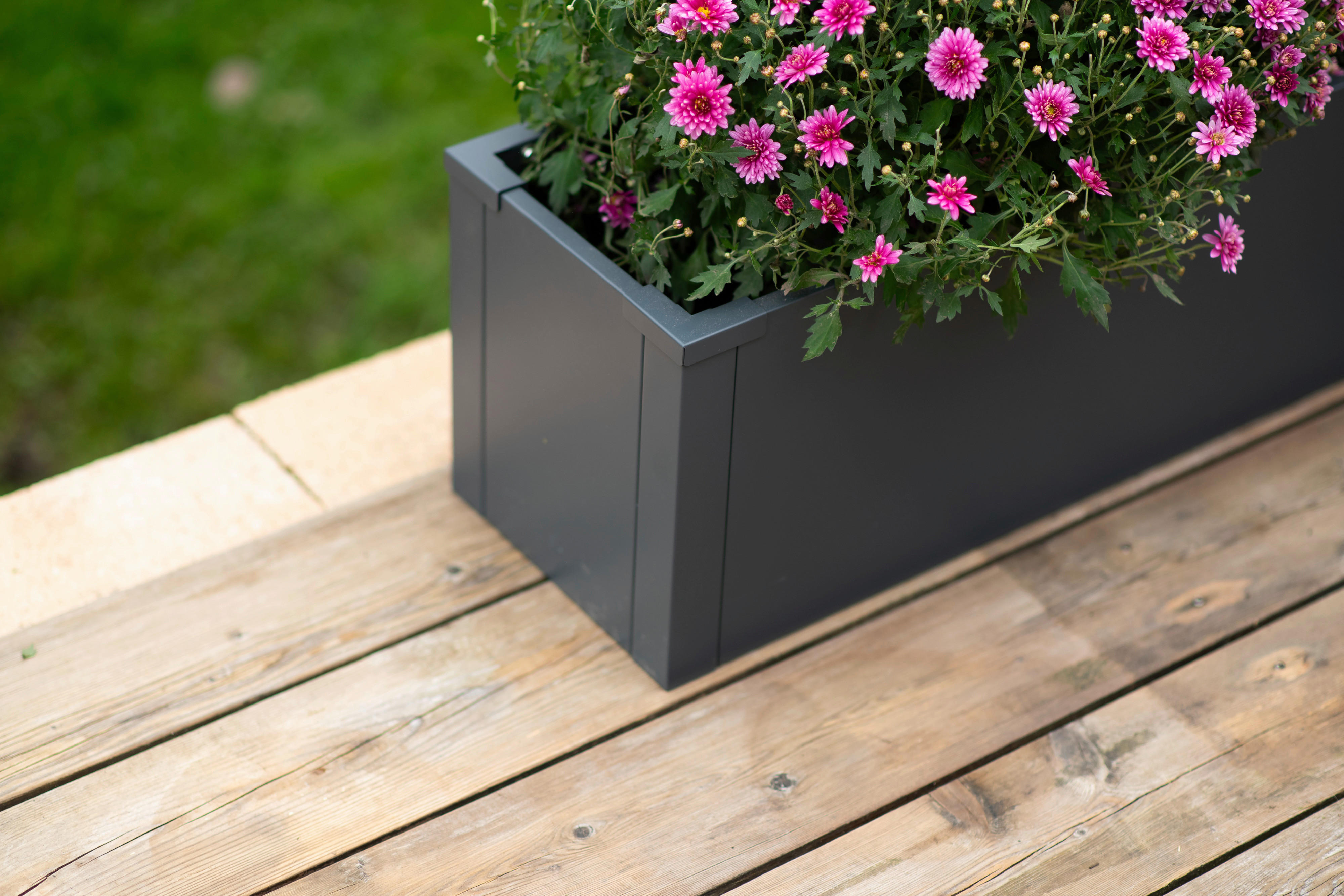 Westmann Pflanzkasten Talus anthrazit Metall B/H/L: ca. 100x27x25 cm Talus - anthrazit (25,00/100,00/27,00cm) - Westmann