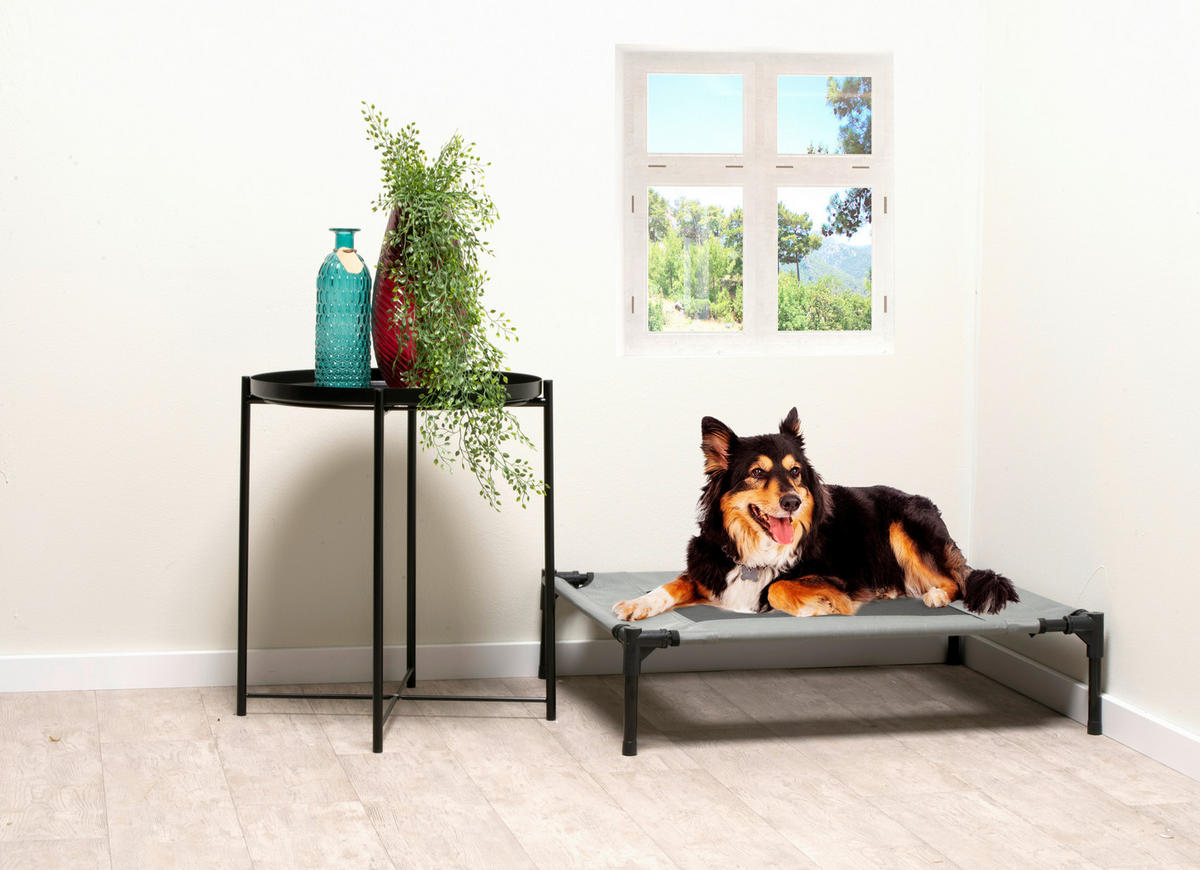 Pet Comfort Haustierbett grau Polyester B/H/L: ca. 81x17x64 cm Erhöhtes_Haustierbett_M - grau (64,00/81,00/17,00cm) - Pet Comfort
