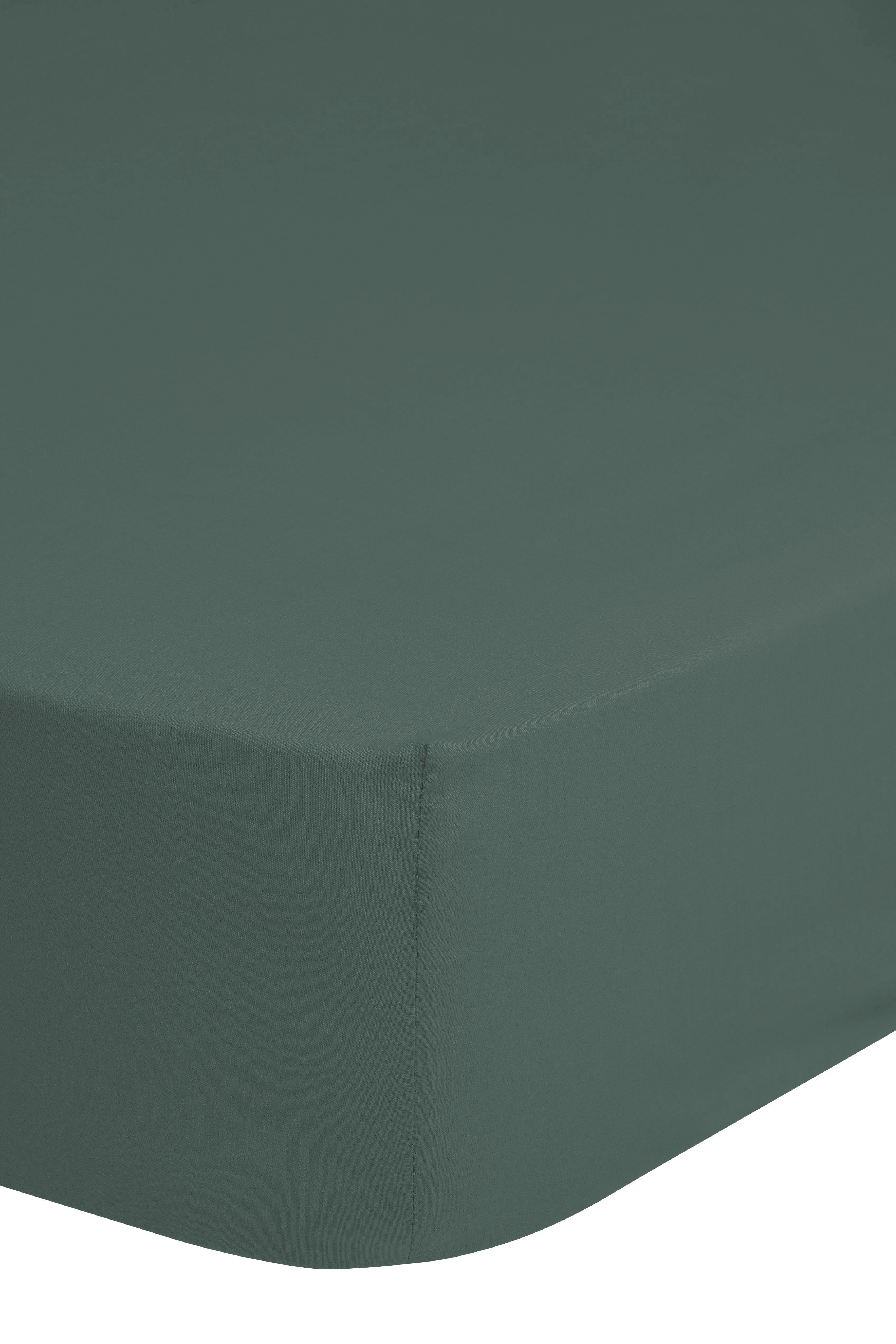 Baumwoll Spannbetttuch Spannbetttuch-Baumwolle 80x200cm - grün (80,00/200,00cm) - Good Morning
