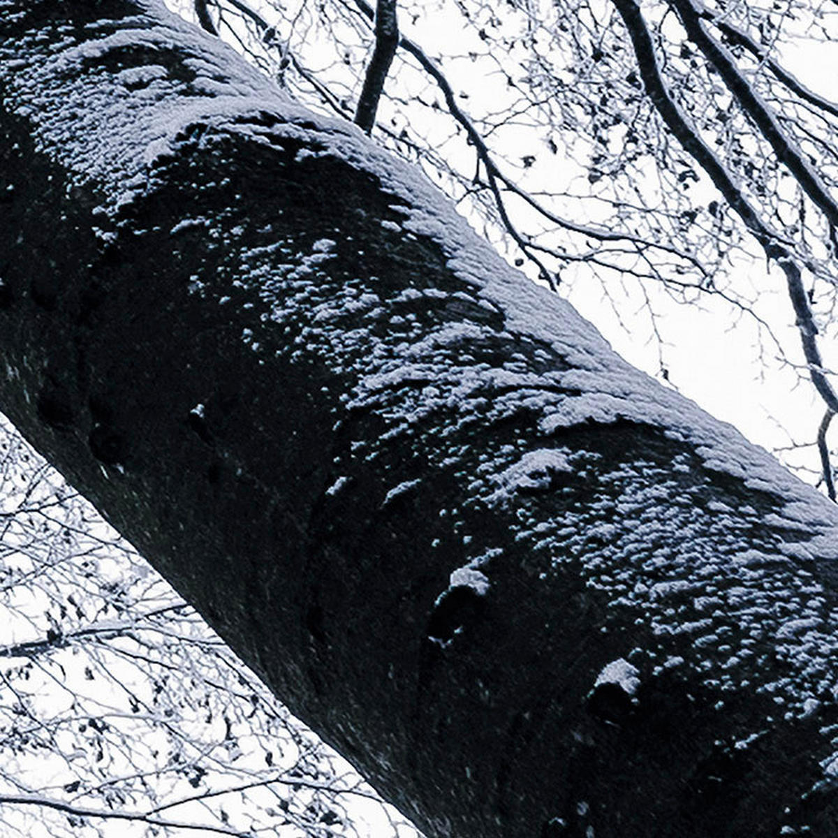 Komar Fototapete Up B/L: ca. 400x250 cm Up - (400,00/250,00cm) - Komar