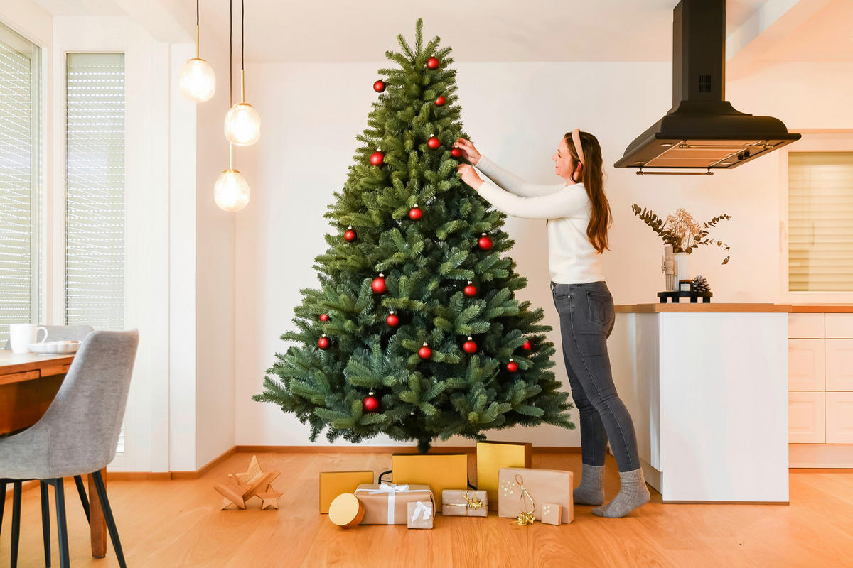 Evergreen Weihnachtsbaum Vermont Fichte Vermont Fichte - grün (160,00/160,00/240,00cm) - Evergreen