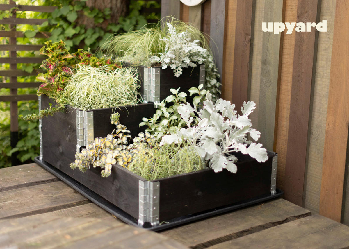 UPYARD Stufenbeet INDUSTRIAL schwarz Holz B/L: ca. 40x60 cm INDUSTRIAL - schwarz (40,00/60,00cm) - UPYARD