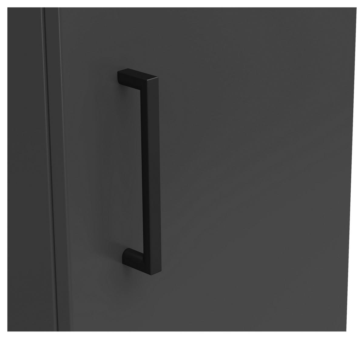 Schrank Multi-Stauraum Typ 6 anthrazit B/H/T: ca. 30x115x40 cm Multi-Stauraum Typ 6 - anthrazit (30,00/115,00/40,00cm)