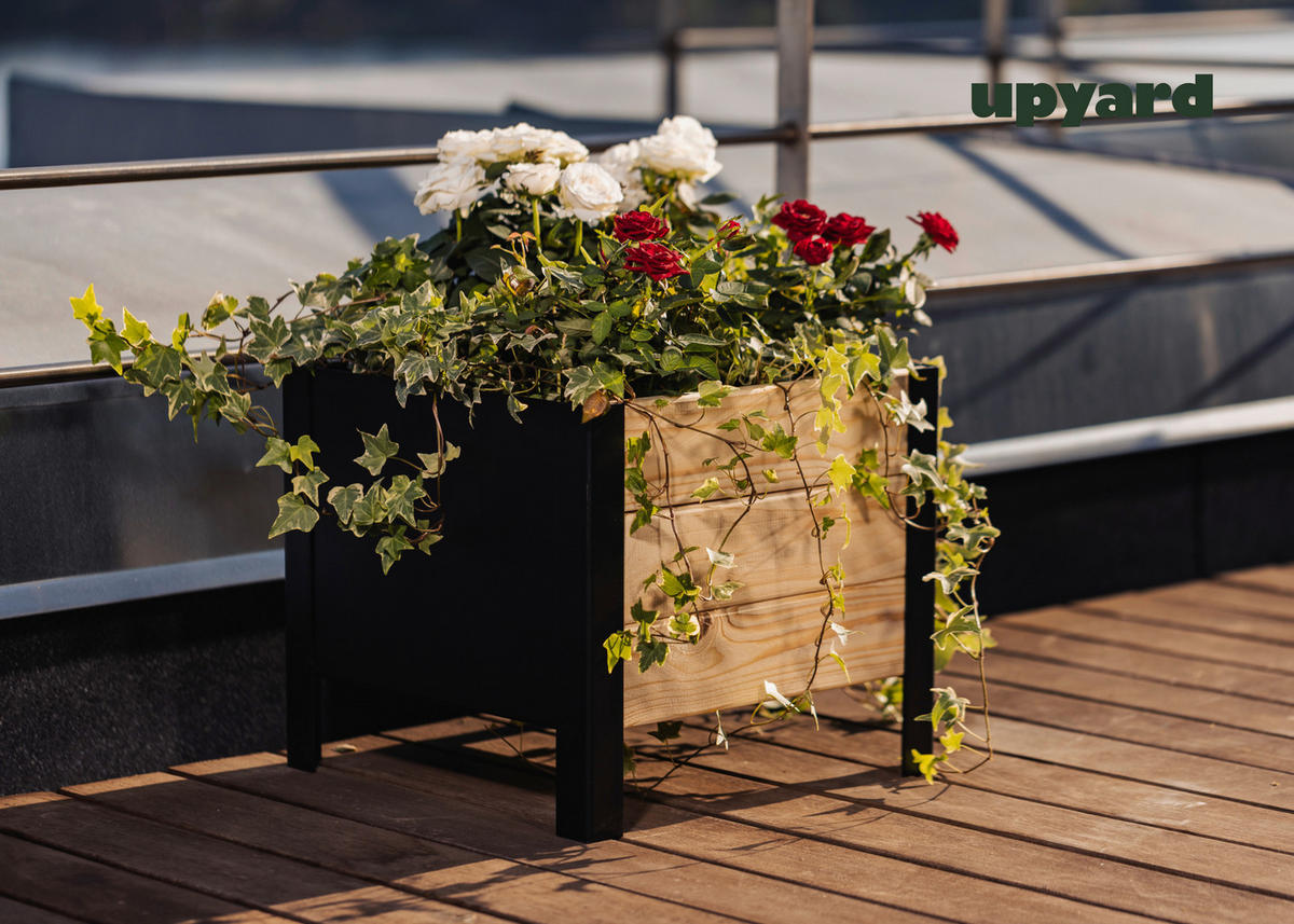UPYARD Hochbeet MODERN natur Holz B/H/L: ca. 36x32x36 cm MODERN - natur (36,00/36,00/32,00cm) - UPYARD