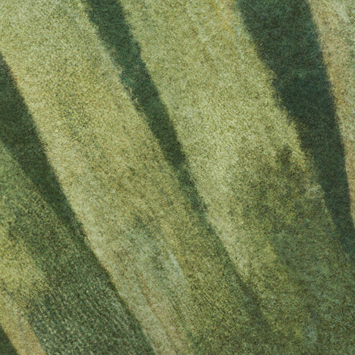 Komar Fototapete Rousseau Remix B/L: ca. 350x250 cm Rousseau Remix - (350,00/250,00cm) - Komar