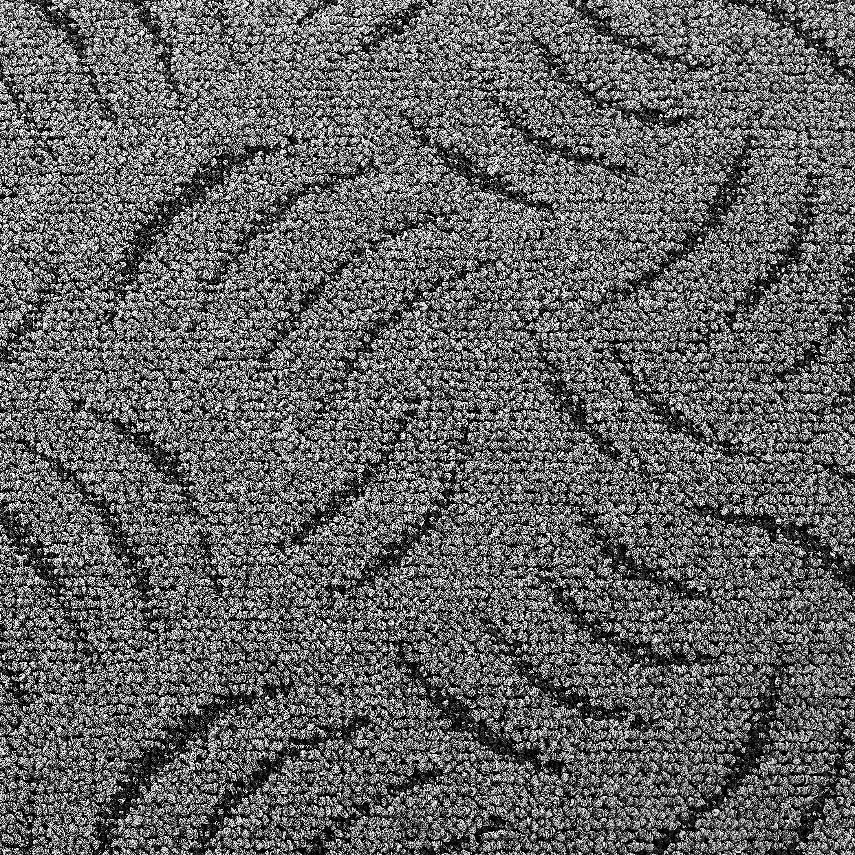 Teppichboden Presto anthrazit B: ca. 400 cm pro m² Presto - anthrazit (400,00cm)