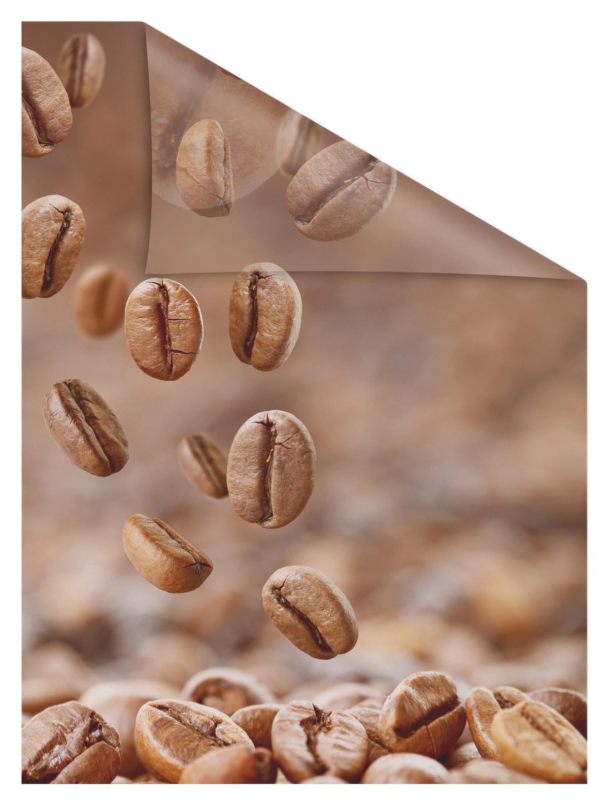 LICHTBLICK Fensterfolie Kaffee Kaffee Kaffee braun B/L: ca. 50x100 cm Kaffee - braun (50,00/100,00cm) - LICHTBLICK